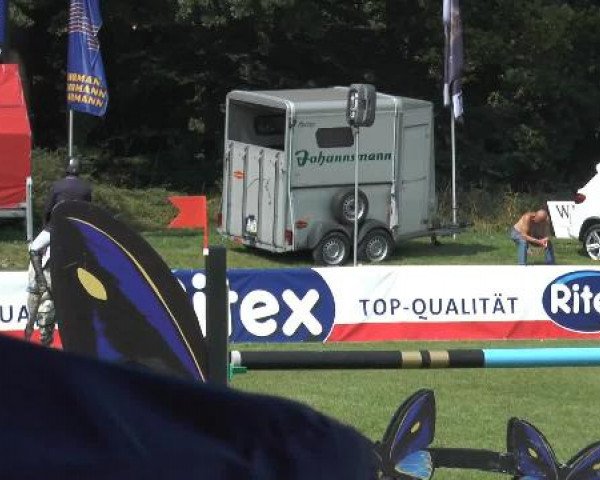FEI Reitturnier Steinhagen (GER) 2014