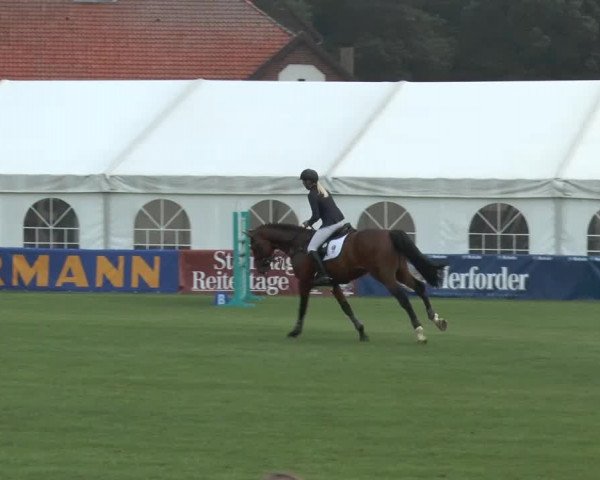 FEI Reitturnier Steinhagen (GER) 2014