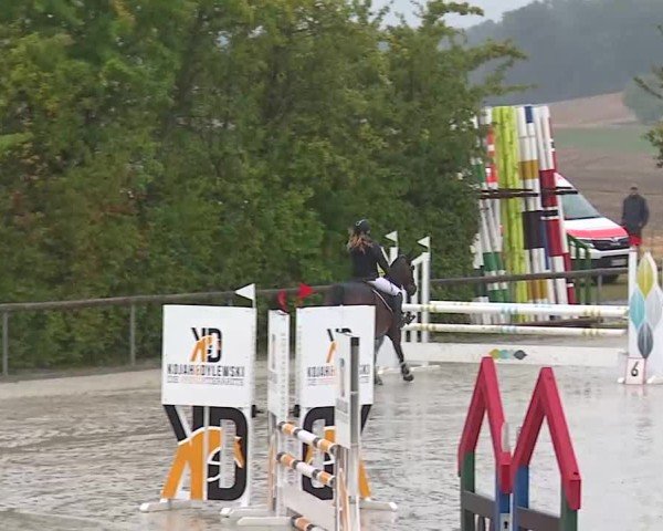 Reitturnier Großbardorf/Ufr. 2025