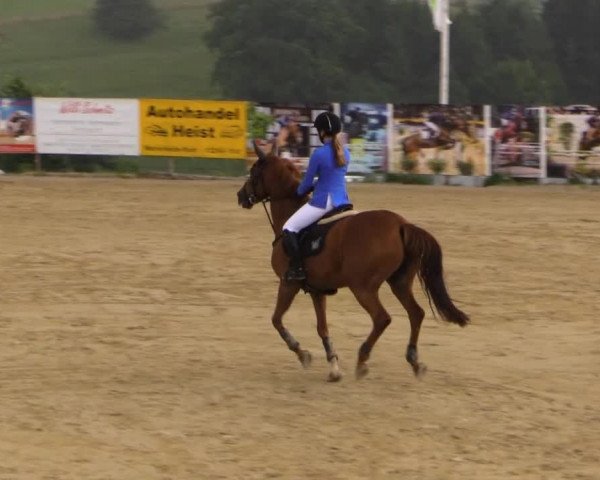 Sommerreitturnier der Süttenbacher RSG e.V. 2014