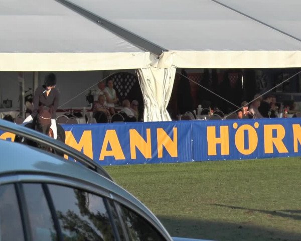 FEI Reitturnier Steinhagen (GER) 2014
