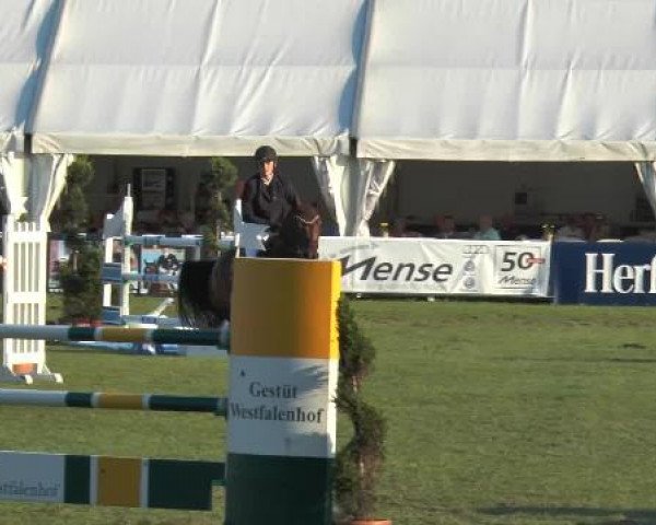 FEI Reitturnier Steinhagen (GER) 2014