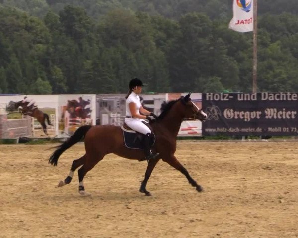 Sommerreitturnier der Süttenbacher RSG e.V. 2014