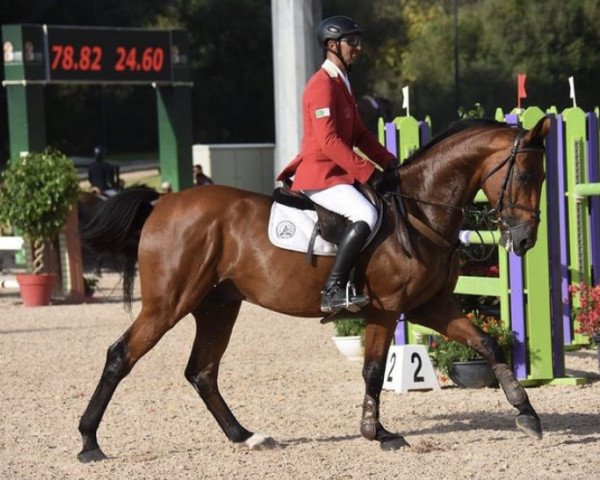 jumper As You Like Semilly (Selle Français, 2010, from Diamant de Semilly)