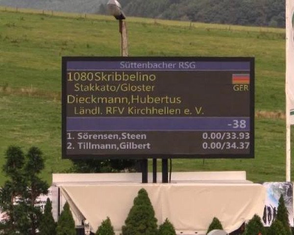 Sommerreitturnier der Süttenbacher RSG e.V. 2014