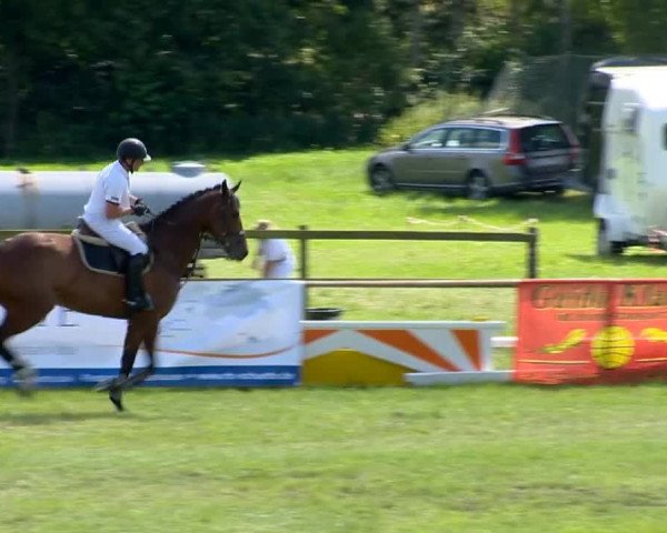 Ahlhorner Reitertage 2014