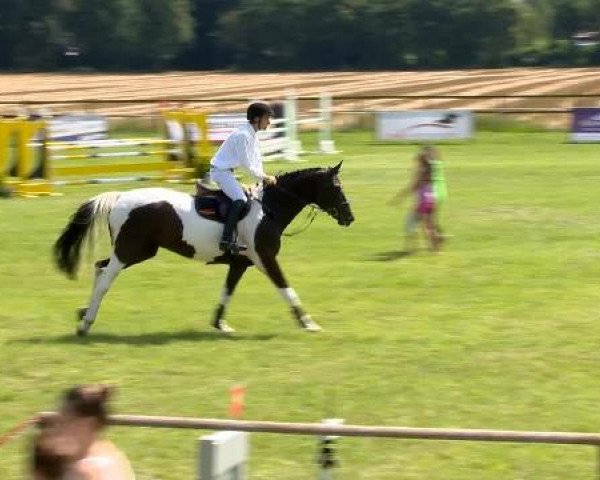 Ahlhorner Reitertage 2014