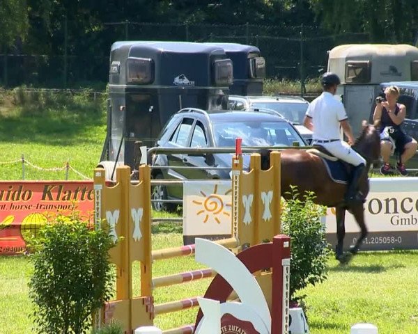 Ahlhorner Reitertage 2014