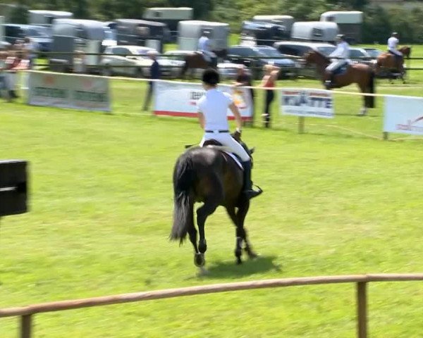 Ahlhorner Reitertage 2014