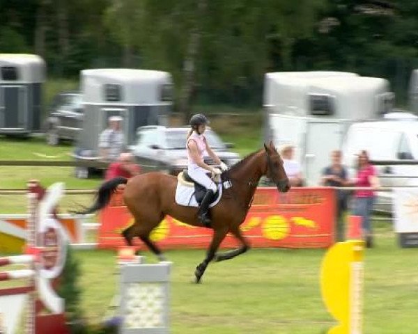 Ahlhorner Reitertage 2014