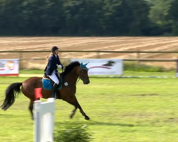 Ahlhorner Reitertage 2014