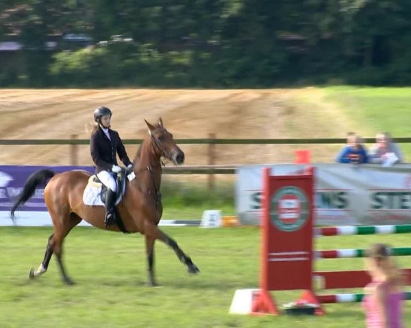 Ahlhorner Reitertage 2014
