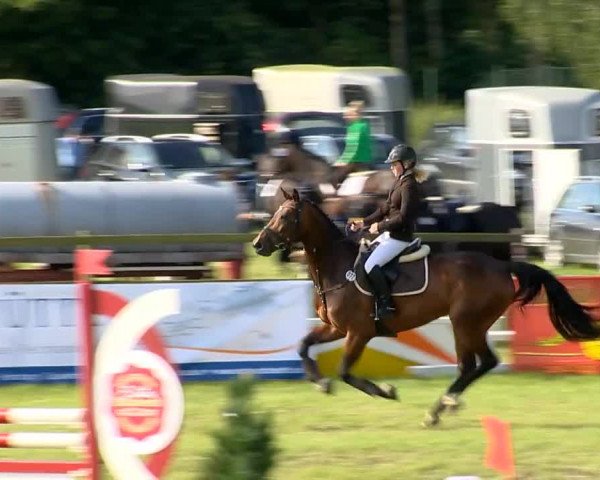 Ahlhorner Reitertage 2014