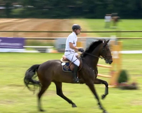 Ahlhorner Reitertage 2014