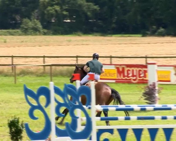 Ahlhorner Reitertage 2014