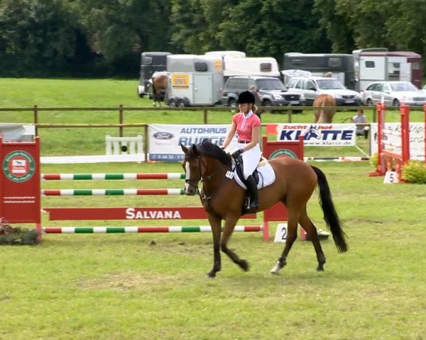 Ahlhorner Reitertage 2014