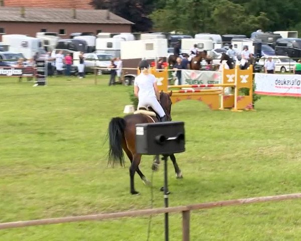 Ahlhorner Reitertage 2014