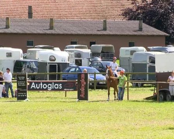 Ahlhorner Reitertage 2014