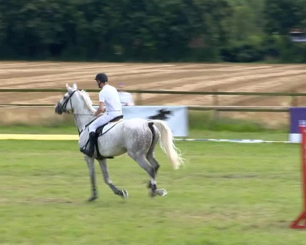 Ahlhorner Reitertage 2014