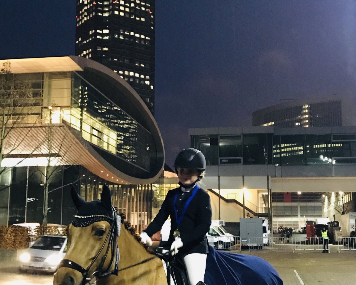 Dressurpferd Oakland's Welcome (Deutsches Reitpony, 2008, von Holsteins Wellness)