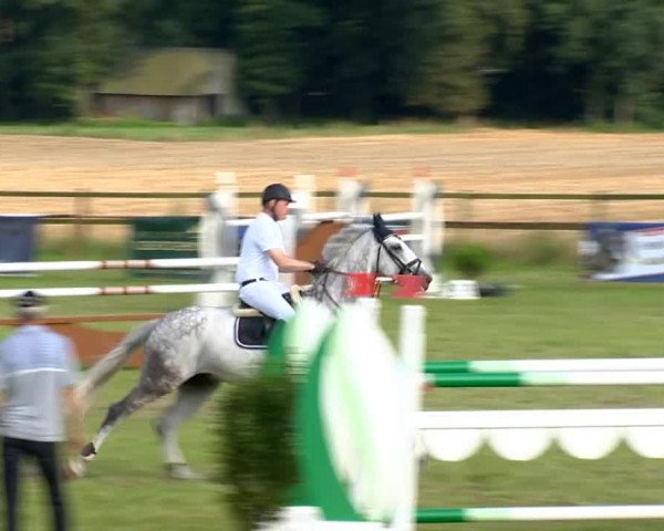 Ahlhorner Reitertage 2014