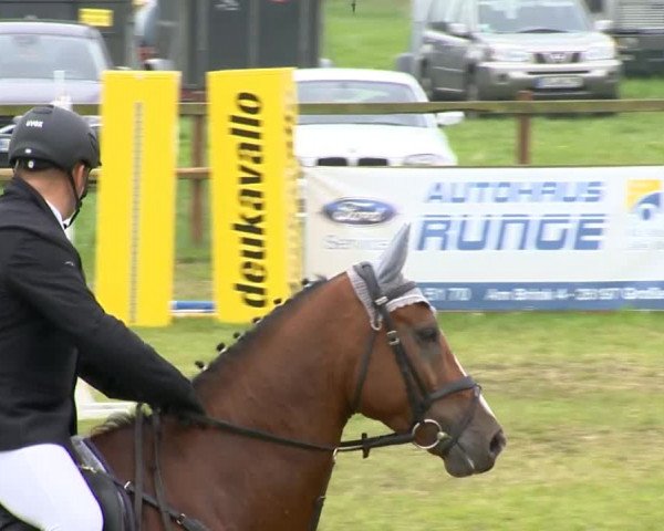 Ahlhorner Reitertage 2014