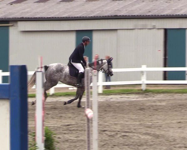 Reitturnier Mildstedt 2025