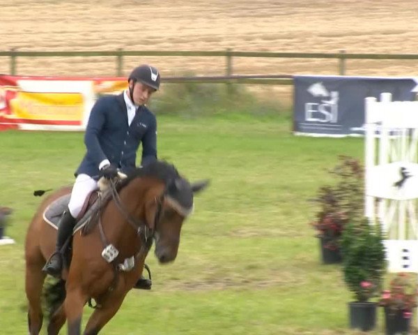 Ahlhorner Reitertage 2014