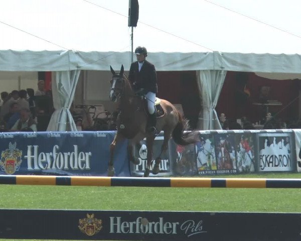 FEI Reitturnier Steinhagen (GER) 2014