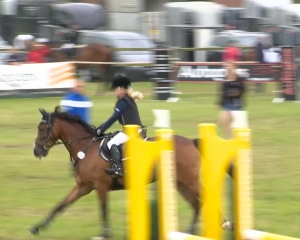 Ahlhorner Reitertage 2014