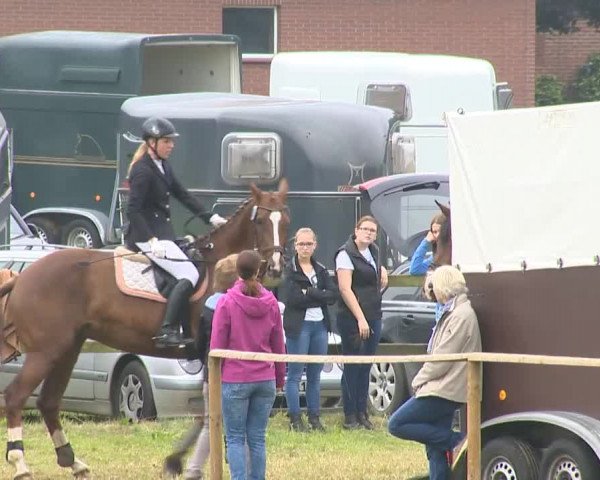 Ahlhorner Reitertage 2014