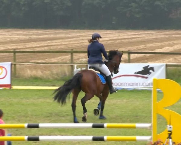 Ahlhorner Reitertage 2014