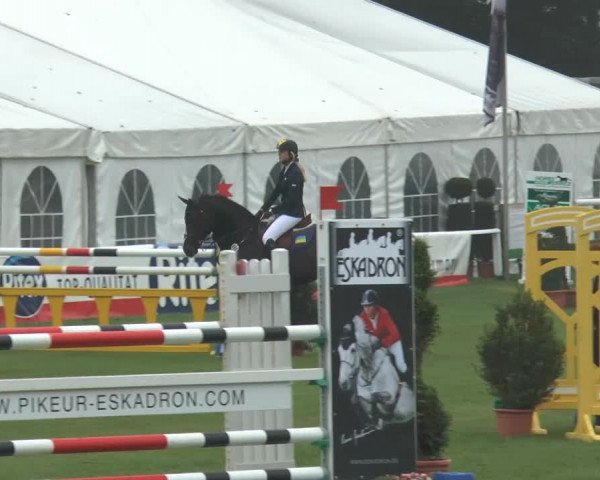 FEI Reitturnier Steinhagen (GER) 2014