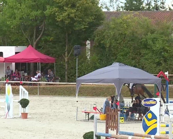 Reitturnier Großbardorf/Ufr. 2025