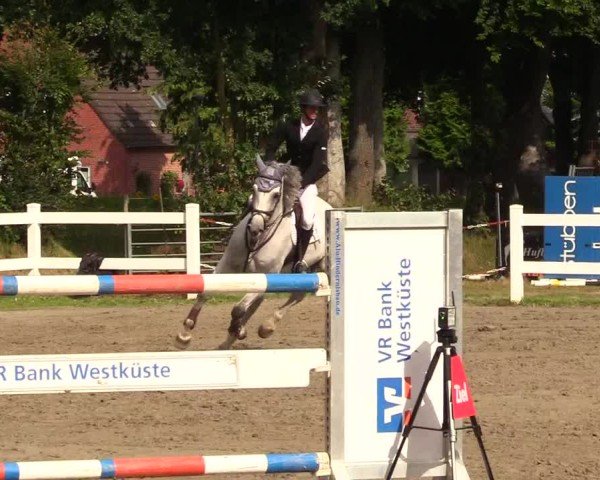 Reitturnier Mildstedt 2025