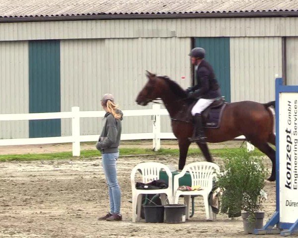 Reitturnier Mildstedt 2025