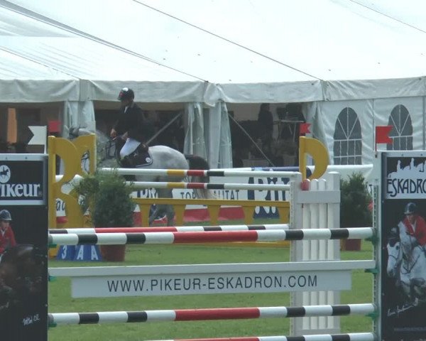 FEI Reitturnier Steinhagen (GER) 2014