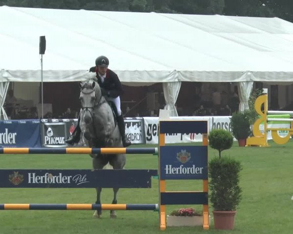 FEI Reitturnier Steinhagen (GER) 2014