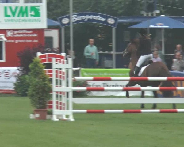 FEI Reitturnier Steinhagen (GER) 2014