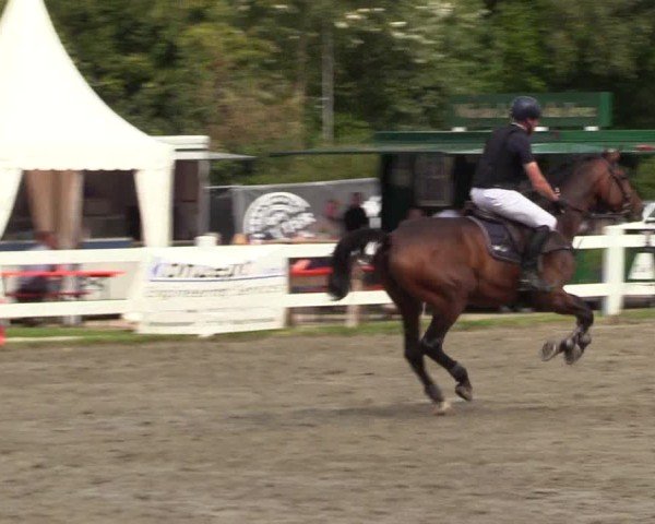 Reitturnier Mildstedt 2025