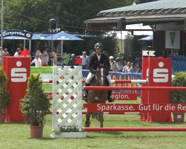 FEI Reitturnier Steinhagen (GER) 2014