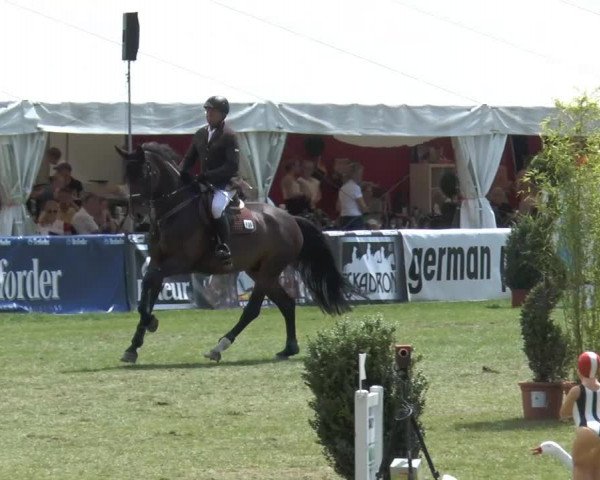 FEI Reitturnier Steinhagen (GER) 2014