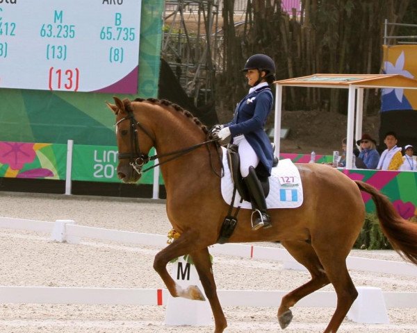 dressage horse Etanga (KWPN (Royal Dutch Sporthorse), 2009, from Wynton)