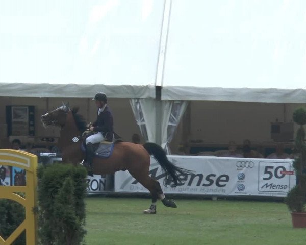 FEI Reitturnier Steinhagen (GER) 2014