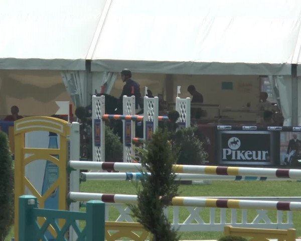 FEI Reitturnier Steinhagen (GER) 2014