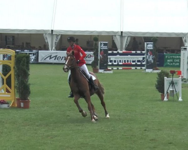 FEI Reitturnier Steinhagen (GER) 2014