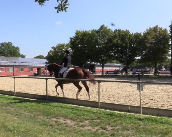 Reitturnier Ascheberg 2021