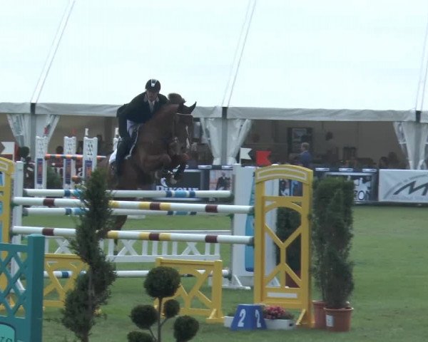 FEI Reitturnier Steinhagen (GER) 2014