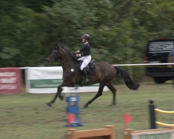 Reitturnier Reckahn 2025