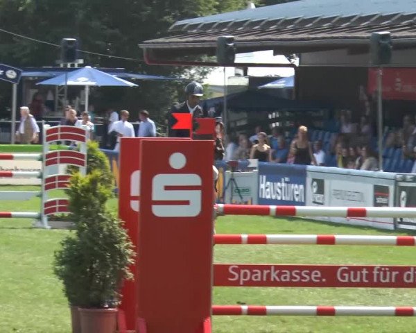 FEI Reitturnier Steinhagen (GER) 2014